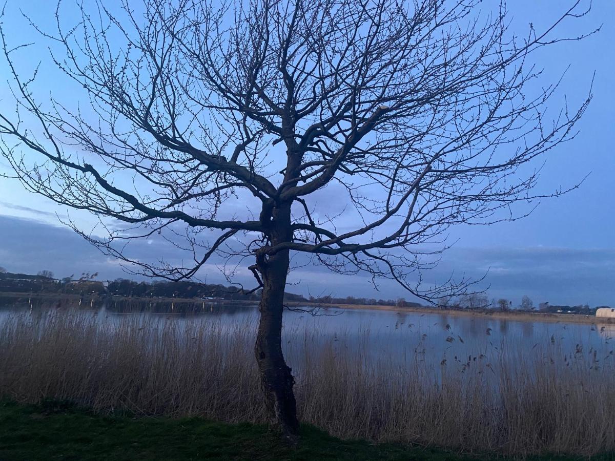 Usedomtor 1720 Fewo I Wolgast Bagian luar foto